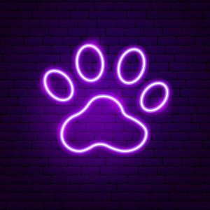 خرید تابلو نئون