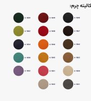 12-0028زا