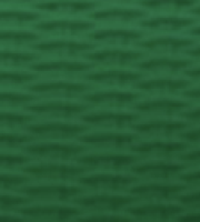 H-007
