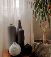 IMG_7631