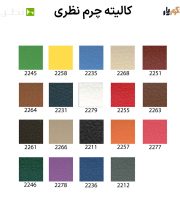 charm nazari