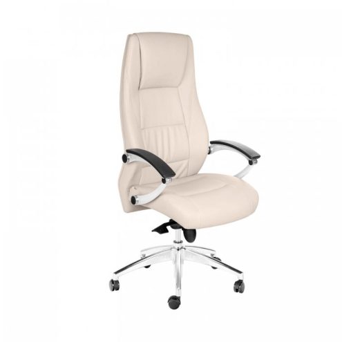 x-700-صندلی-مدیریتی-مدل-SKY-MS870-داتیس1